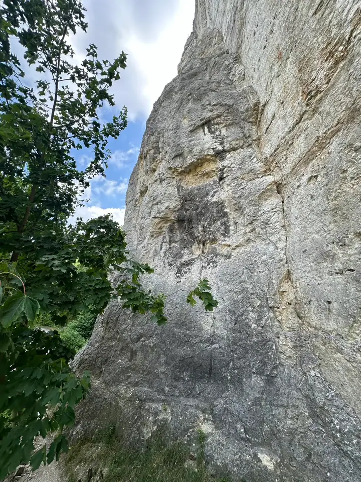 Bambula
