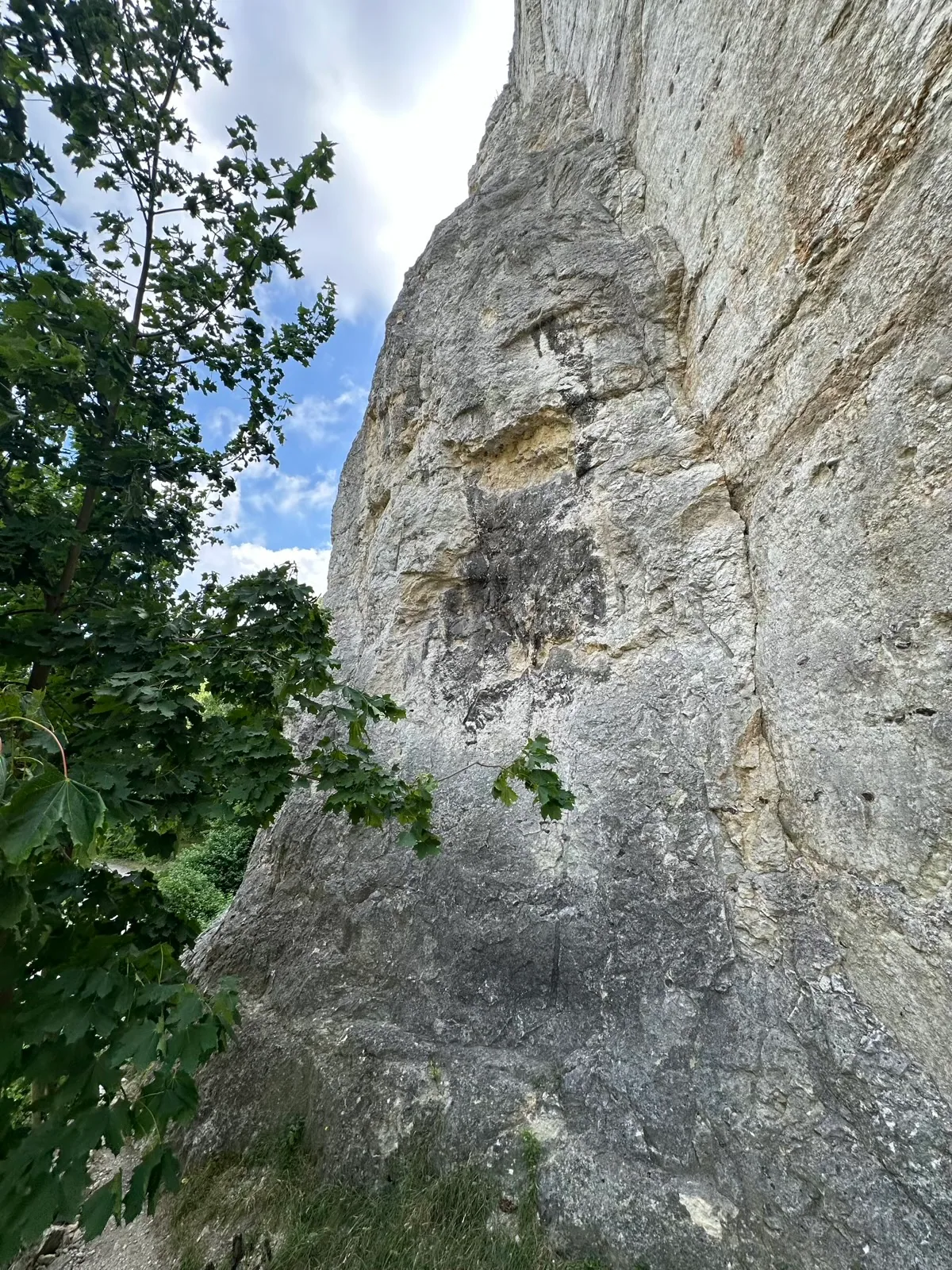Bambula