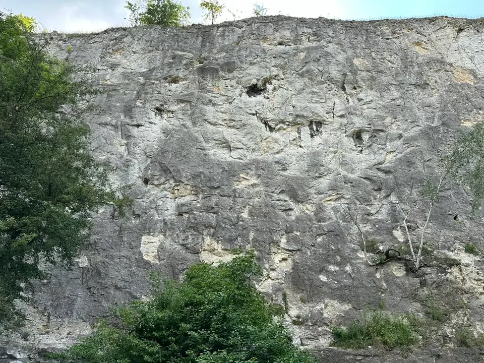Lewa Ściana
