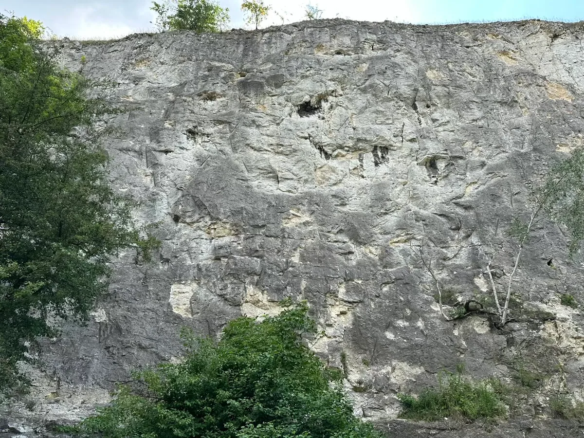 Lewa Ściana