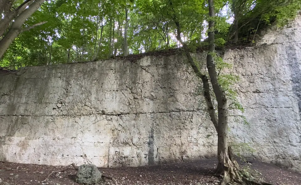 Niski Mur