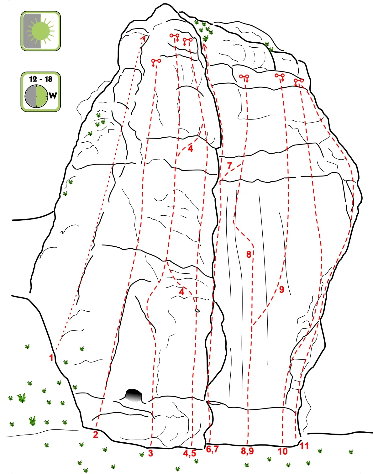 Płyta Sasa