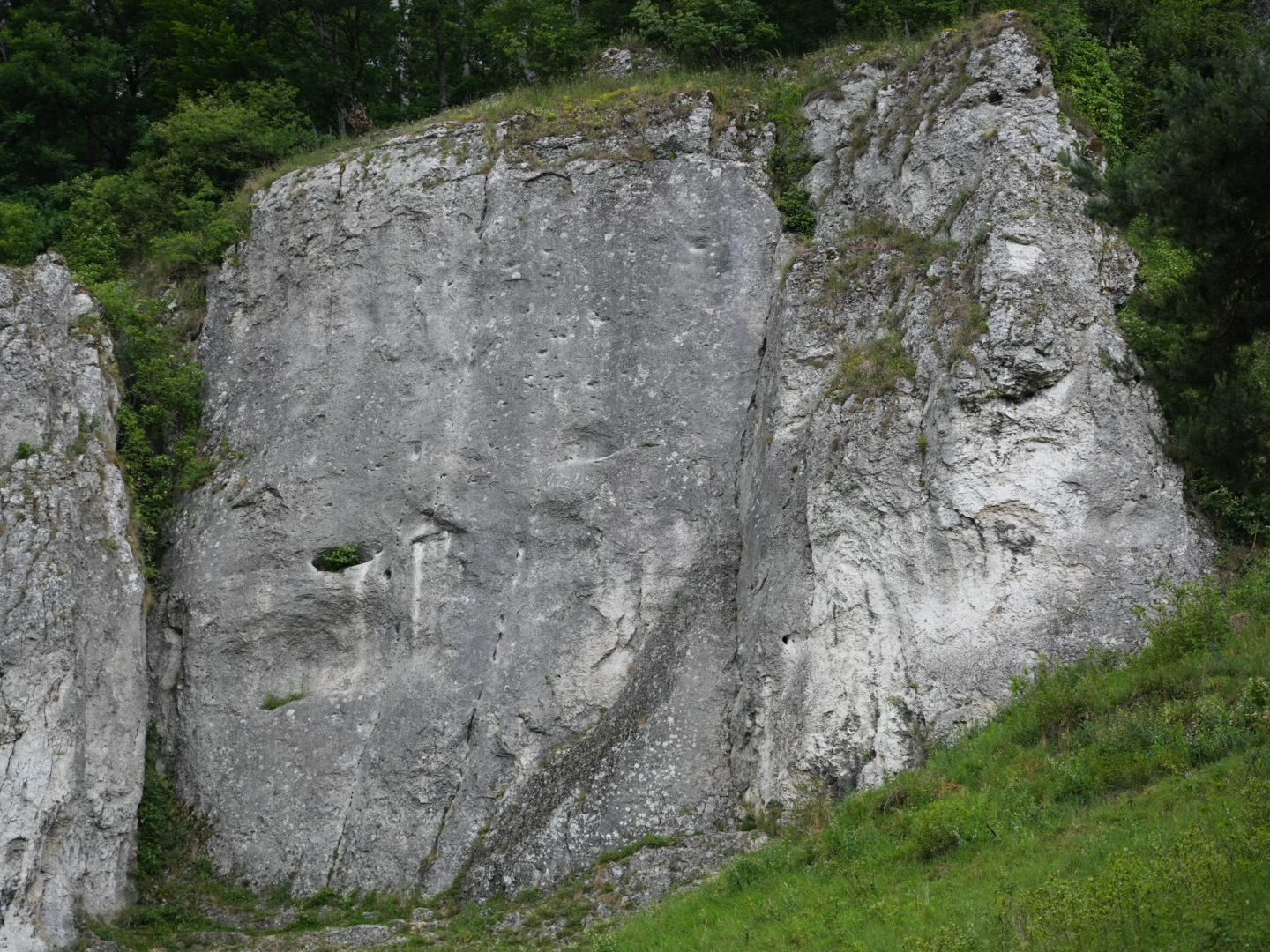 Szara Płyta