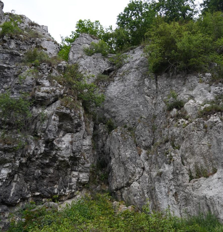 Turnia z Krokiem Ścianka za Turnia