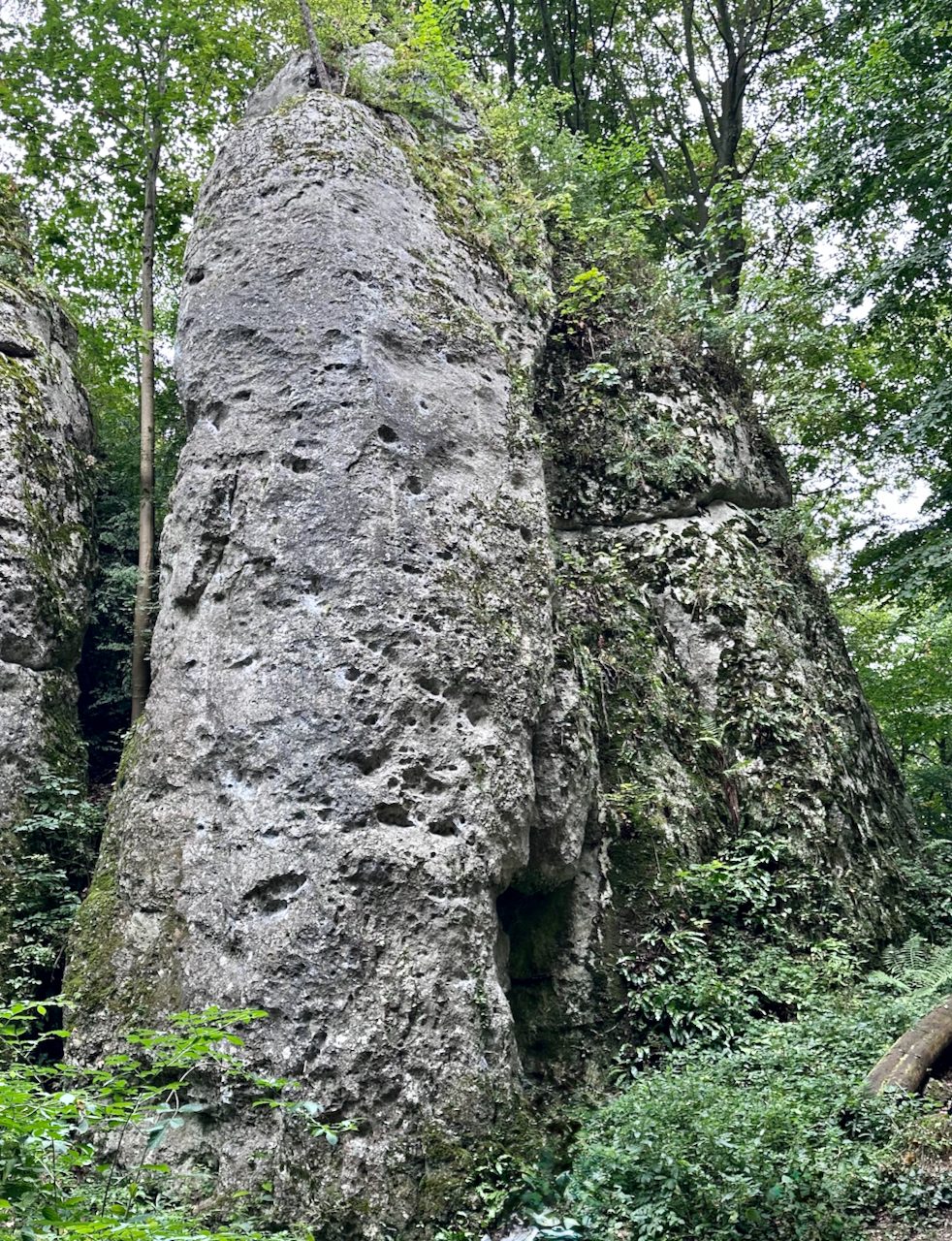 Wróblowa Pasie