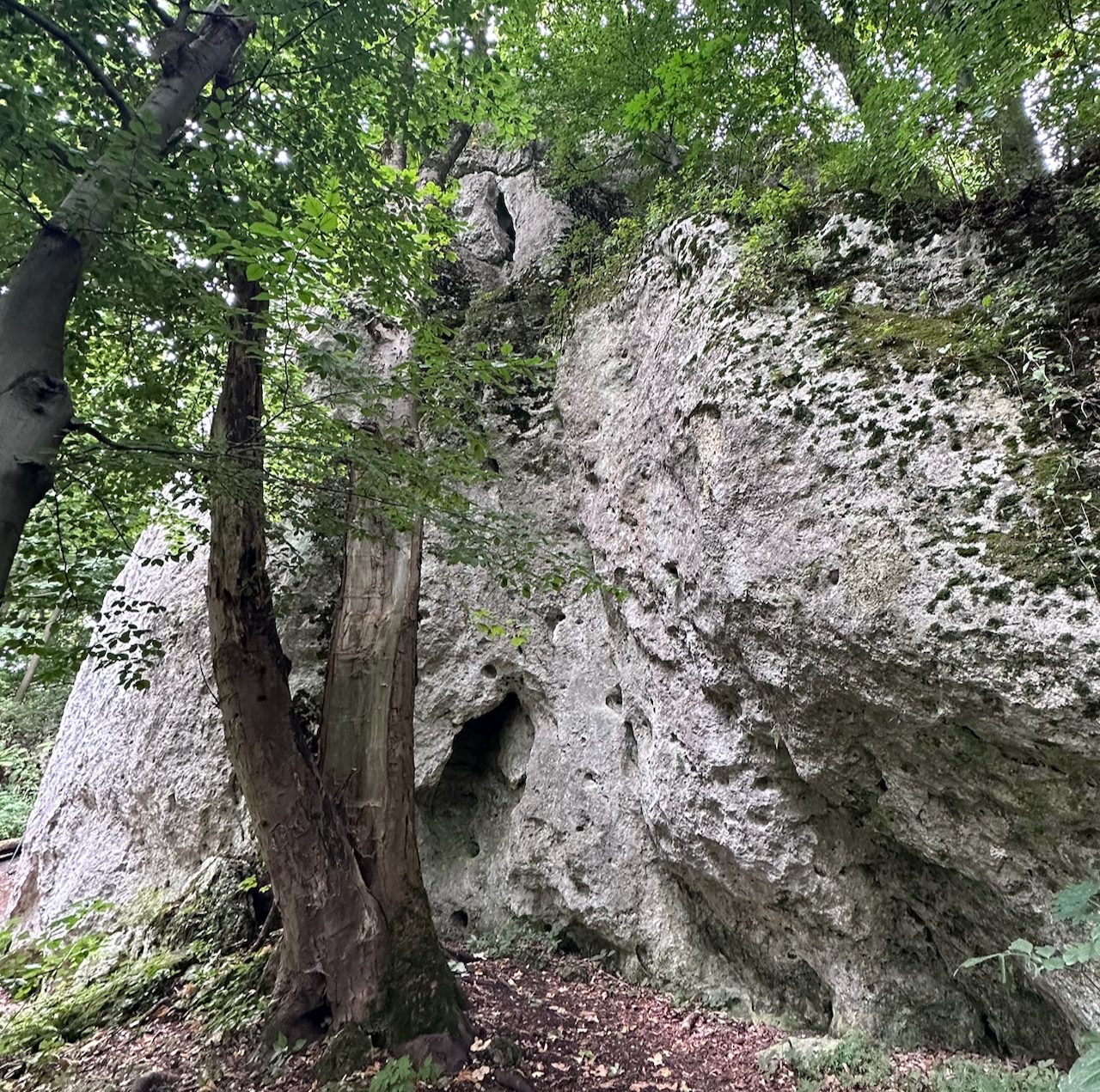 Wróblowa prawa strona