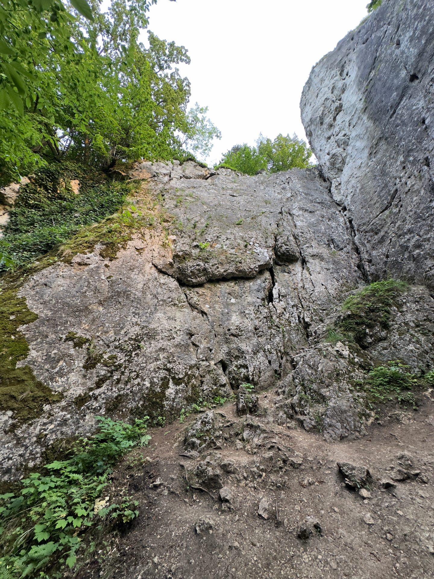 Wronia Grzęda